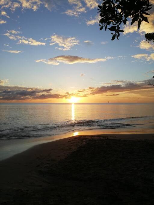 Ti' Papaye Anse A L'Ane Apartment เลส์ทรัวส์-ซีเลต์ ภายนอก รูปภาพ